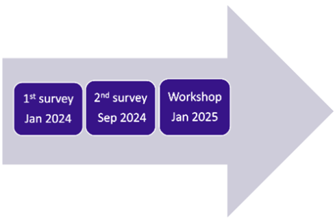 The project timeline